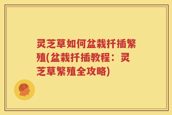 灵芝草如何盆栽扦插繁殖(盆栽扦插教程：灵芝草繁殖全攻略)