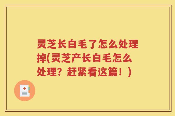 灵芝长白毛了怎么处理掉(灵芝产长白毛怎么处理？赶紧看这篇！)