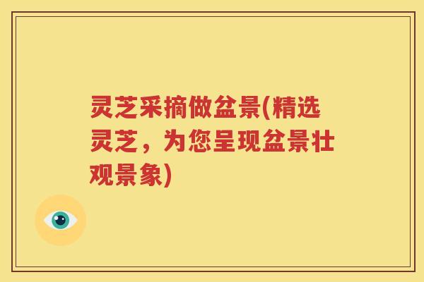 灵芝采摘做盆景(精选灵芝，为您呈现盆景壮观景象)