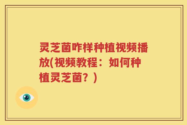灵芝菌咋样种植视频播放(视频教程：如何种植灵芝菌？)