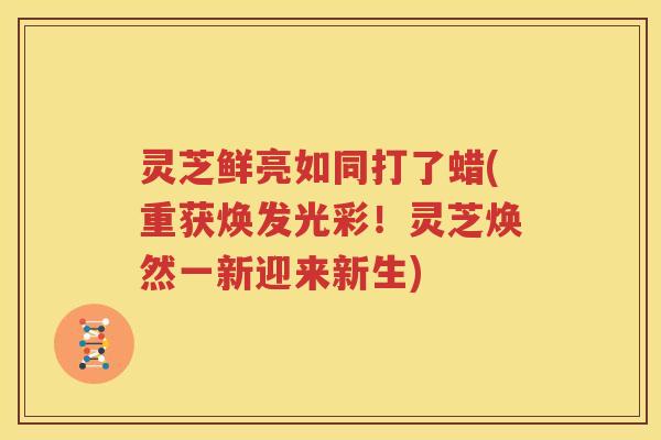 灵芝鲜亮如同打了蜡(重获焕发光彩！灵芝焕然一新迎来新生)
