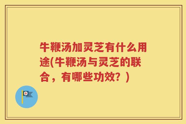 牛鞭汤加灵芝有什么用途(牛鞭汤与灵芝的联合，有哪些功效？)