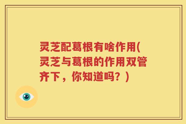 灵芝配葛根有啥作用(灵芝与葛根的作用双管齐下，你知道吗？)