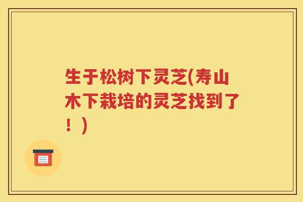 生于松树下灵芝(寿山木下栽培的灵芝找到了！)