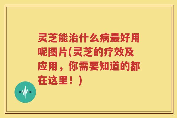 灵芝能治什么病最好用呢图片(灵芝的疗效及应用，你需要知道的都在这里！)