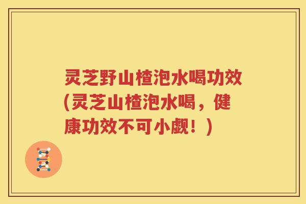 灵芝野山楂泡水喝功效(灵芝山楂泡水喝，健康功效不可小觑！)