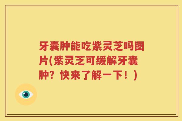牙囊肿能吃紫灵芝吗图片(紫灵芝可缓解牙囊肿？快来了解一下！)