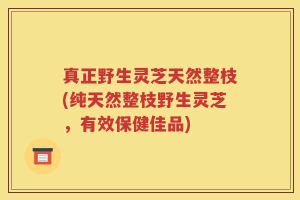 真正野生灵芝天然整枝(纯天然整枝野生灵芝，有效保健佳品)