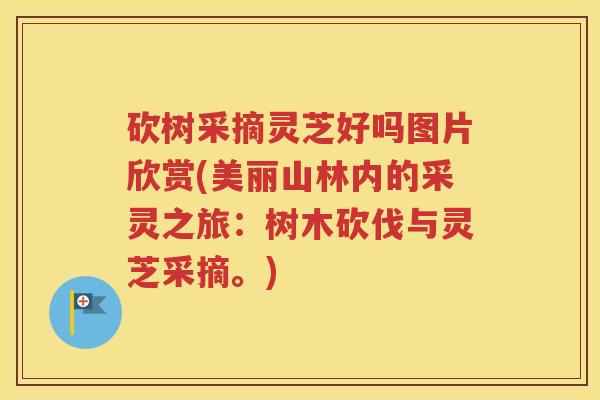 砍树采摘灵芝好吗图片欣赏(美丽山林内的采灵之旅：树木砍伐与灵芝采摘。)