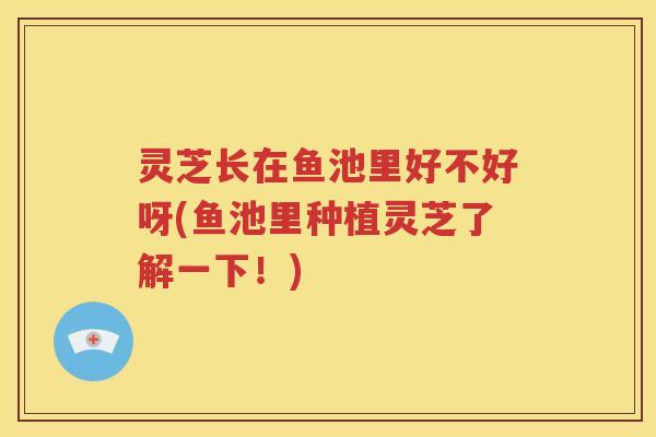 灵芝长在鱼池里好不好呀(鱼池里种植灵芝了解一下！)