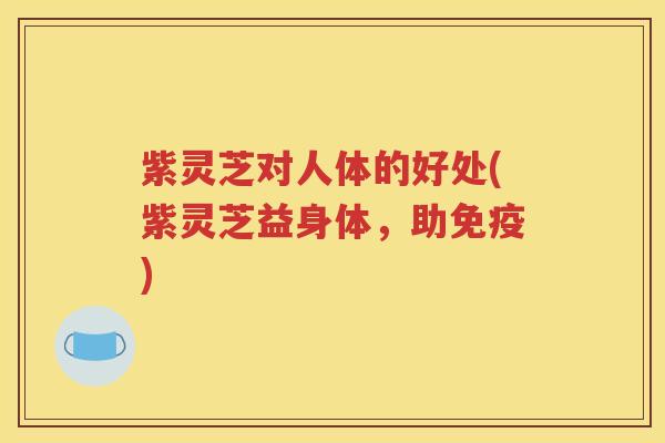 紫灵芝对人体的好处(紫灵芝益身体，助免疫)