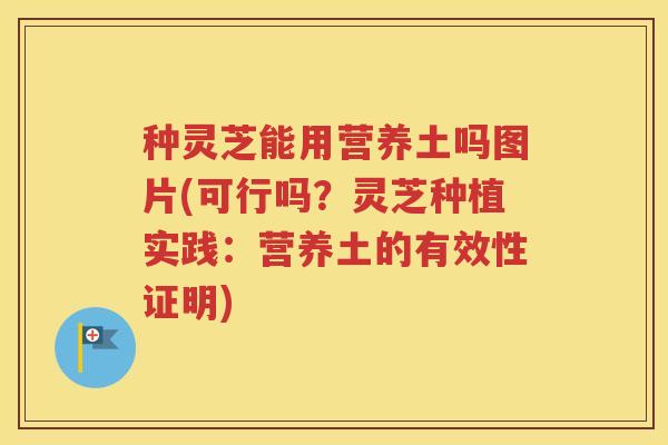 种灵芝能用营养土吗图片(可行吗？灵芝种植实践：营养土的有效性证明)
