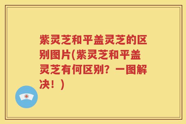 紫灵芝和平盖灵芝的区别图片(紫灵芝和平盖灵芝有何区别？一图解决！)