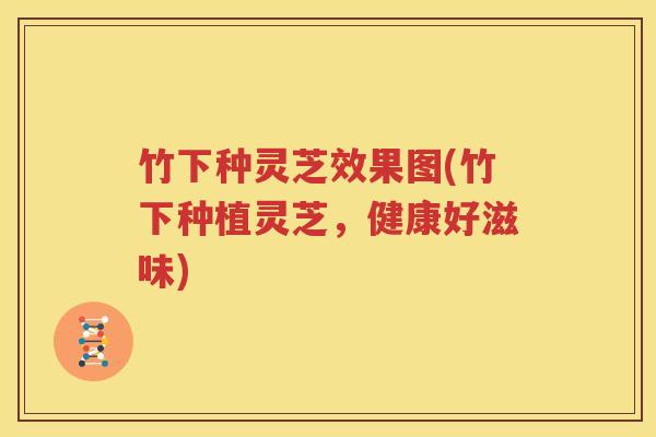 竹下种灵芝效果图(竹下种植灵芝，健康好滋味)