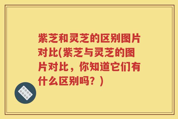 紫芝和灵芝的区别图片对比(紫芝与灵芝的图片对比，你知道它们有什么区别吗？)
