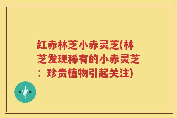 红赤林芝小赤灵芝(林芝发现稀有的小赤灵芝：珍贵植物引起关注)