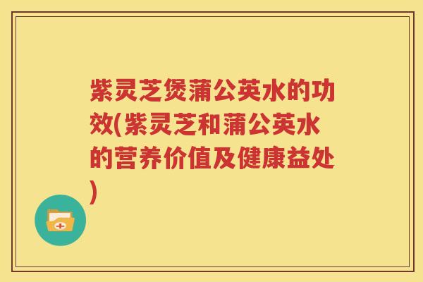 紫灵芝煲蒲公英水的功效(紫灵芝和蒲公英水的营养价值及健康益处)