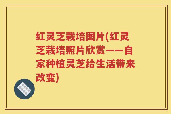 红灵芝栽培图片(红灵芝栽培照片欣赏——自家种植灵芝给生活带来改变)