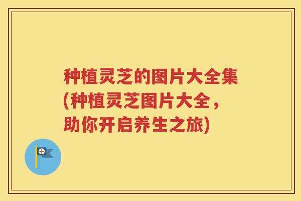 种植灵芝的图片大全集(种植灵芝图片大全，助你开启养生之旅)