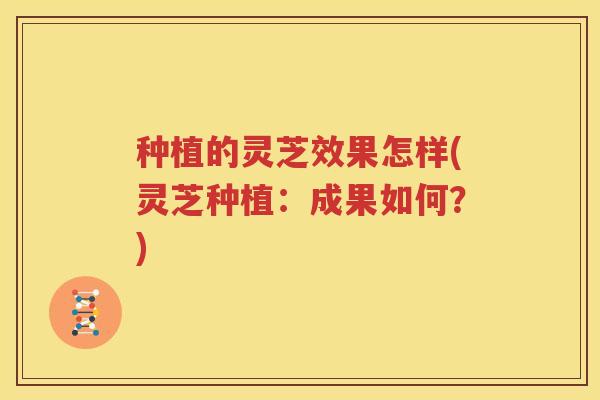 种植的灵芝效果怎样(灵芝种植：成果如何？)