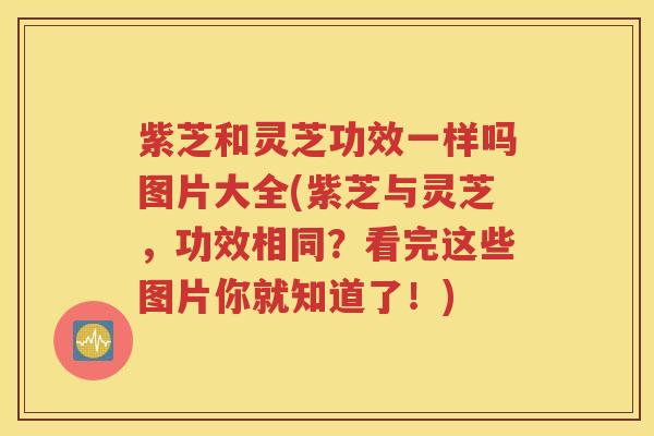 紫芝和灵芝功效一样吗图片大全(紫芝与灵芝，功效相同？看完这些图片你就知道了！)