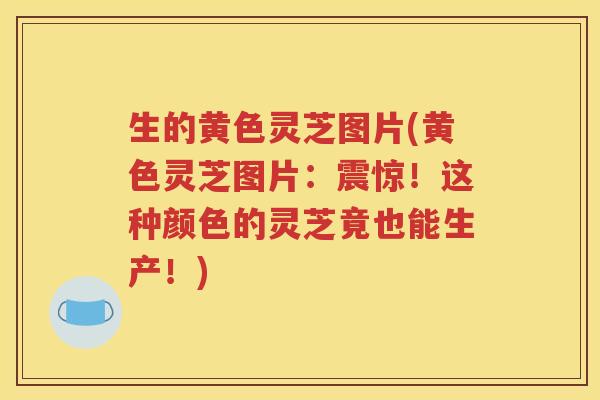 生的黄色灵芝图片(黄色灵芝图片：震惊！这种颜色的灵芝竟也能生产！)
