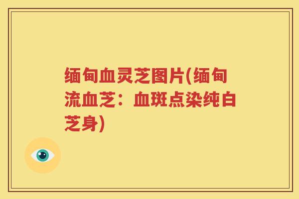 缅甸血灵芝图片(缅甸流血芝：血斑点染纯白芝身)