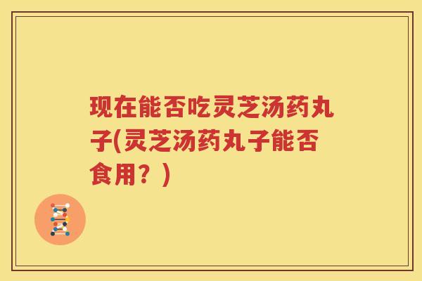 现在能否吃灵芝汤药丸子(灵芝汤药丸子能否食用？)