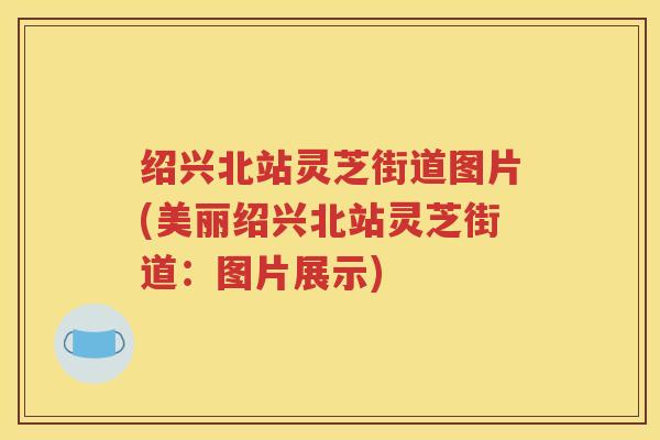绍兴北站灵芝街道图片(美丽绍兴北站灵芝街道：图片展示)