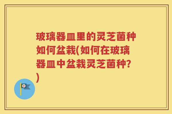 玻璃器皿里的灵芝菌种如何盆栽(如何在玻璃器皿中盆栽灵芝菌种？)