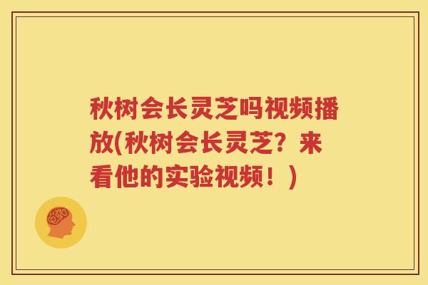 秋树会长灵芝吗视频播放(秋树会长灵芝？来看他的实验视频！)