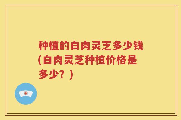 种植的白肉灵芝多少钱(白肉灵芝种植价格是多少？)