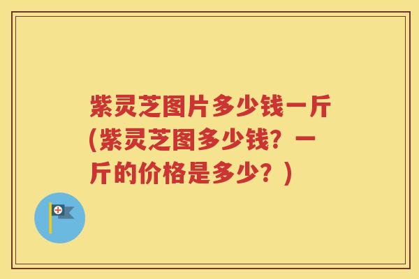 紫灵芝图片多少钱一斤(紫灵芝图多少钱？一斤的价格是多少？)