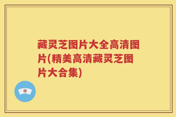 藏灵芝图片大全高清图片(精美高清藏灵芝图片大合集)