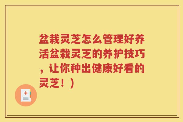 盆栽灵芝怎么管理好养活盆栽灵芝的养护技巧，让你种出健康好看的灵芝！)