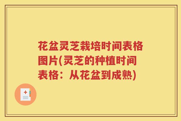 花盆灵芝栽培时间表格图片(灵芝的种植时间表格：从花盆到成熟)