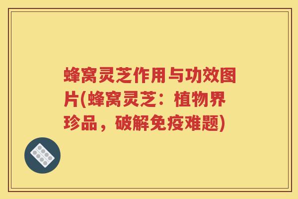 蜂窝灵芝作用与功效图片(蜂窝灵芝：植物界珍品，破解免疫难题)