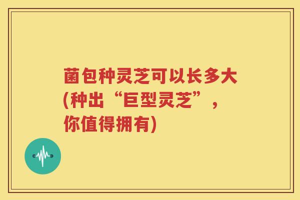 菌包种灵芝可以长多大(种出“巨型灵芝”，你值得拥有)