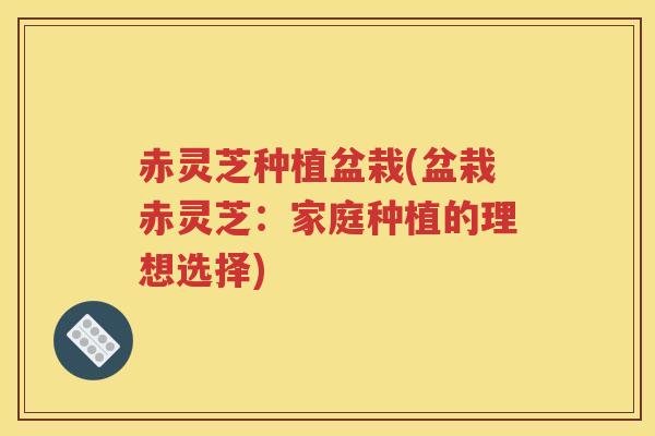 赤灵芝种植盆栽(盆栽赤灵芝：家庭种植的理想选择)