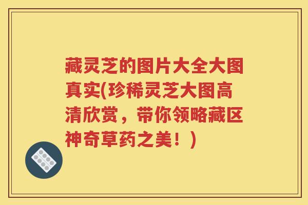 藏灵芝的图片大全大图真实(珍稀灵芝大图高清欣赏，带你领略藏区神奇草药之美！)