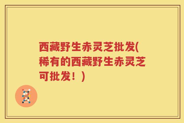 西藏野生赤灵芝批发(稀有的西藏野生赤灵芝可批发！)