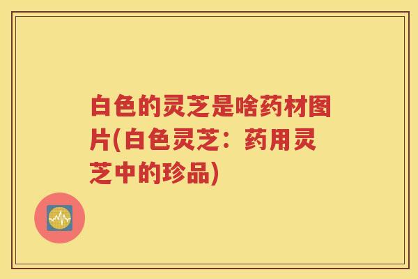 白色的灵芝是啥药材图片(白色灵芝：药用灵芝中的珍品)