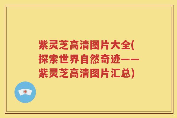 紫灵芝高清图片大全(探索世界自然奇迹——紫灵芝高清图片汇总)
