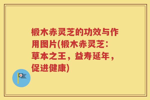 椴木赤灵芝的功效与作用图片(椴木赤灵芝：草本之王，益寿延年，促进健康)
