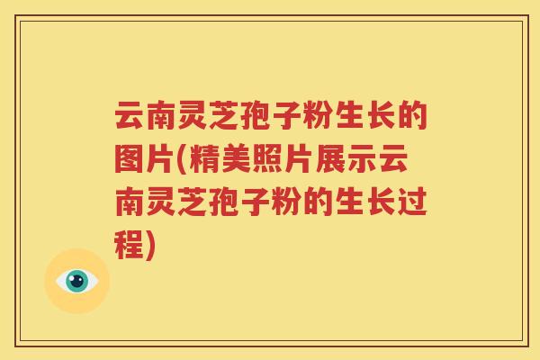 云南灵芝孢子粉生长的图片(精美照片展示云南灵芝孢子粉的生长过程)