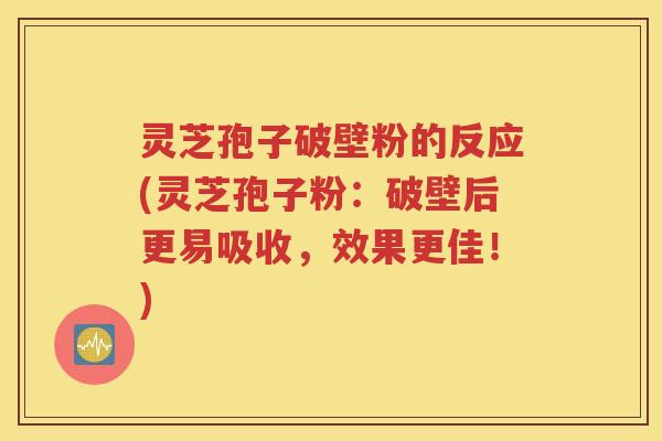 灵芝孢子破壁粉的反应(灵芝孢子粉：破壁后更易吸收，效果更佳！)