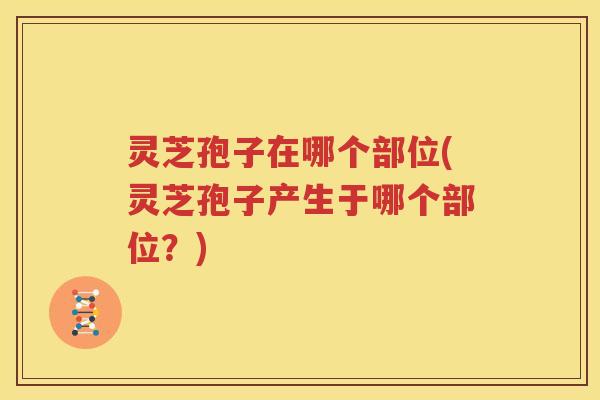 灵芝孢子在哪个部位(灵芝孢子产生于哪个部位？)