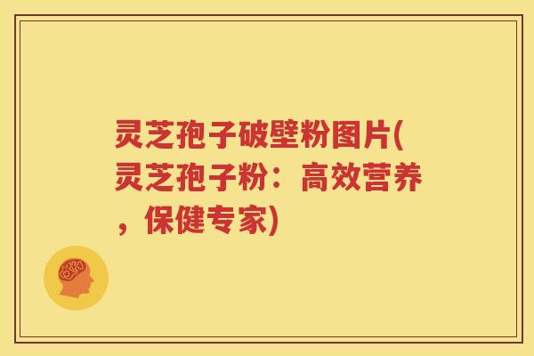 灵芝孢子破壁粉图片(灵芝孢子粉：高效营养，保健专家)