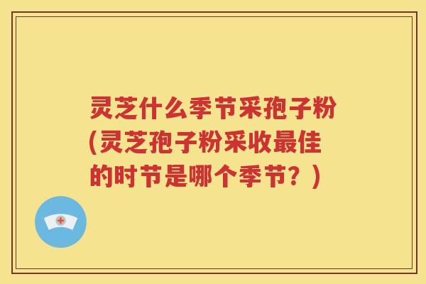 灵芝什么季节采孢子粉(灵芝孢子粉采收最佳的时节是哪个季节？)