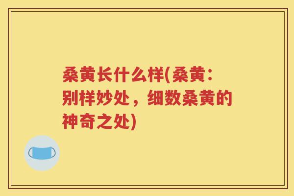 桑黄长什么样(桑黄：别样妙处，细数桑黄的神奇之处)